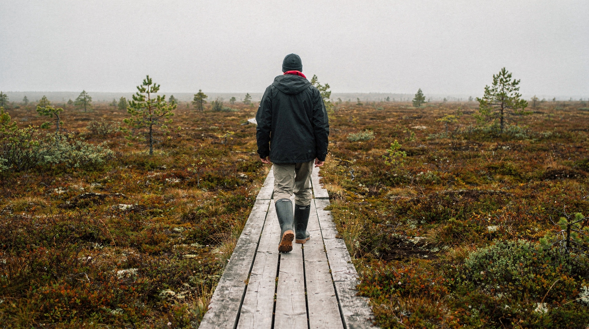 My Estonia bog-walking obsession (and how it started)