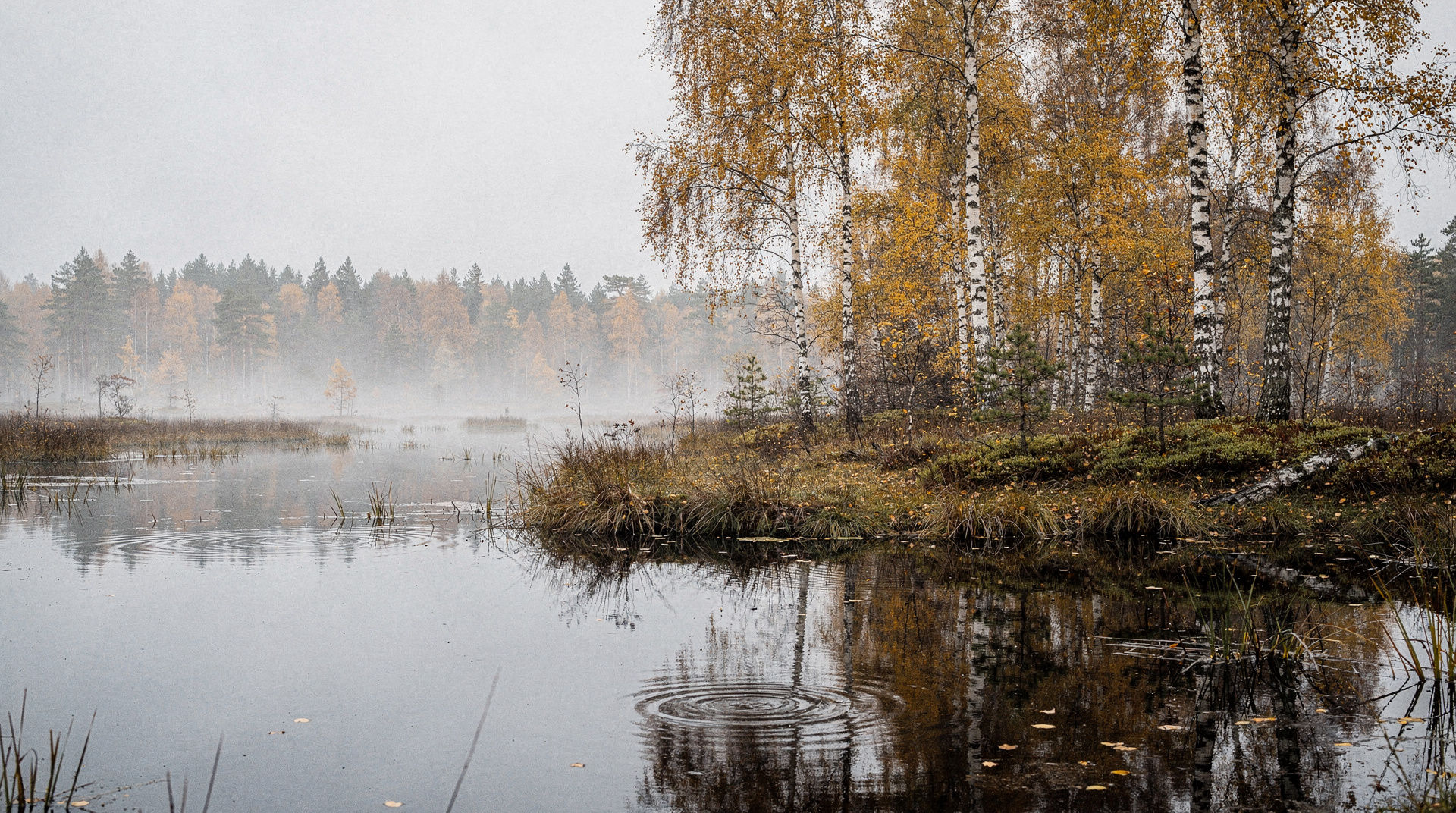 Lahemaa in autumn — why this is the best time to go