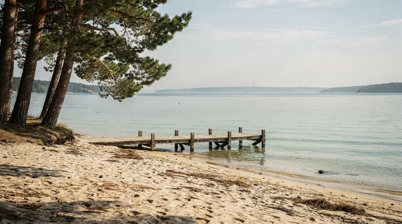 Aegna : l'île boisée à 30 minutes de Tallinn