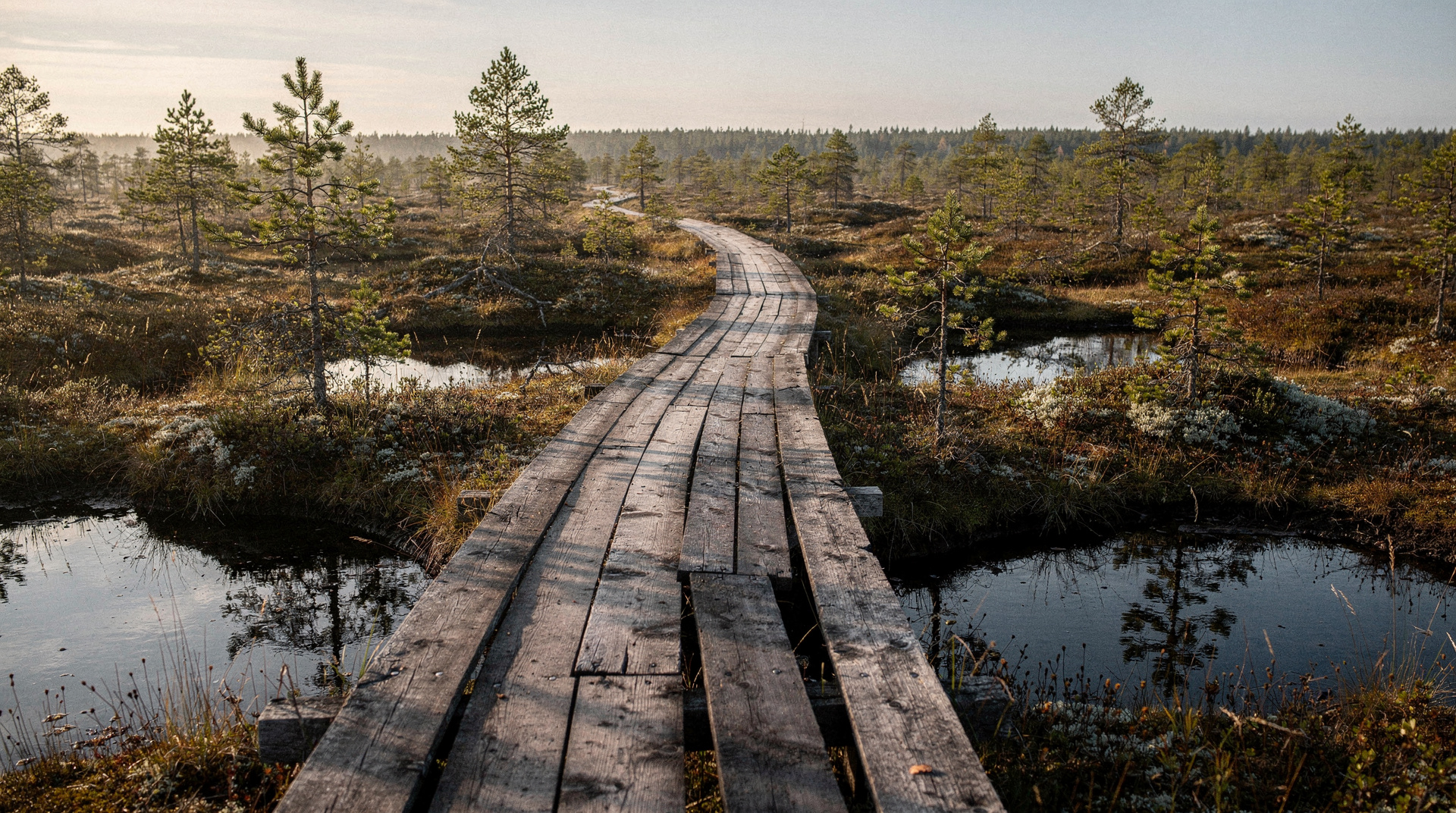 Lahemaa National Park — bogs and manors