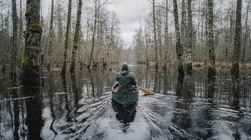 Le parc national de Soomaa : les tourbières et la cinquième saison de l'Estonie