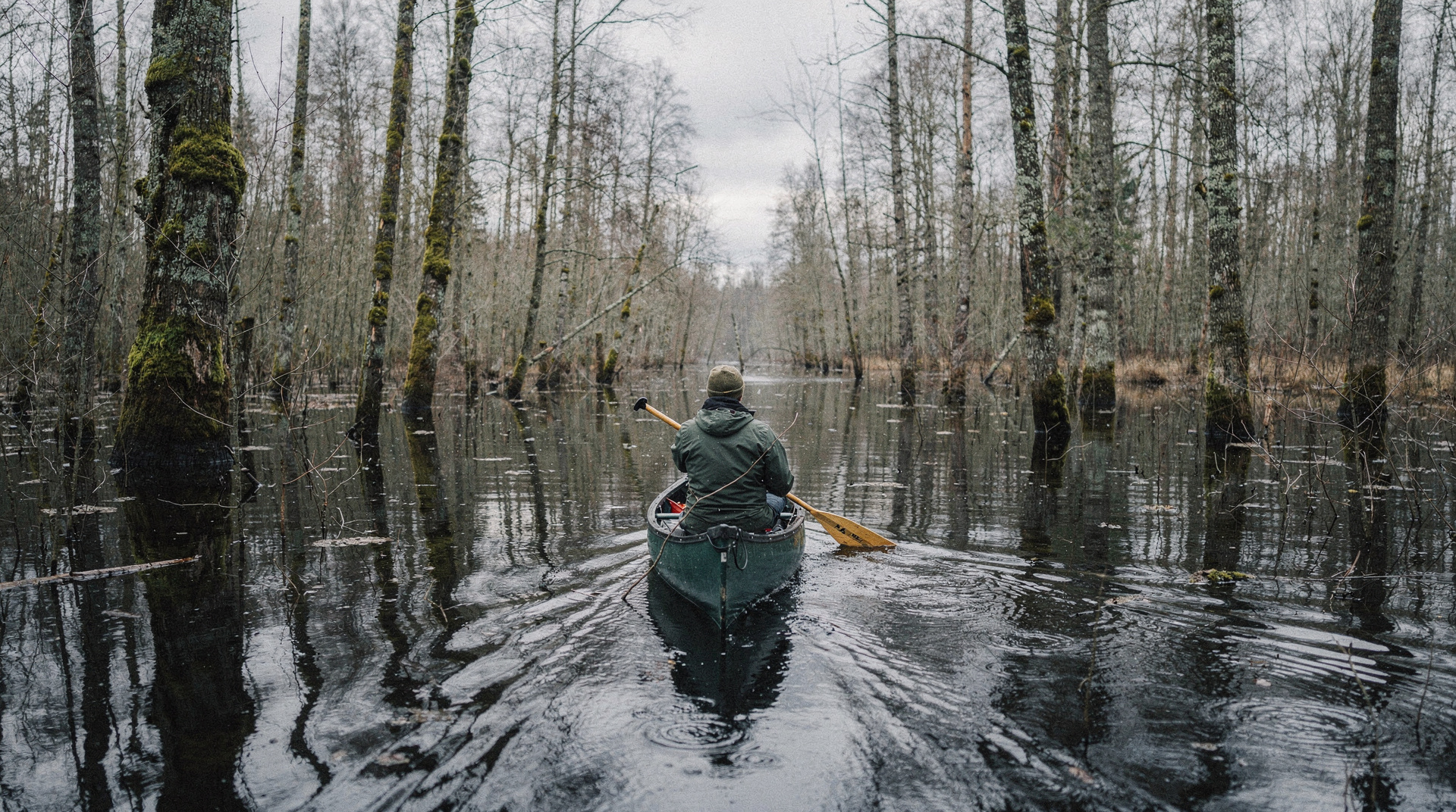 Soomaa National Park: Estonia's bogs and the fifth season