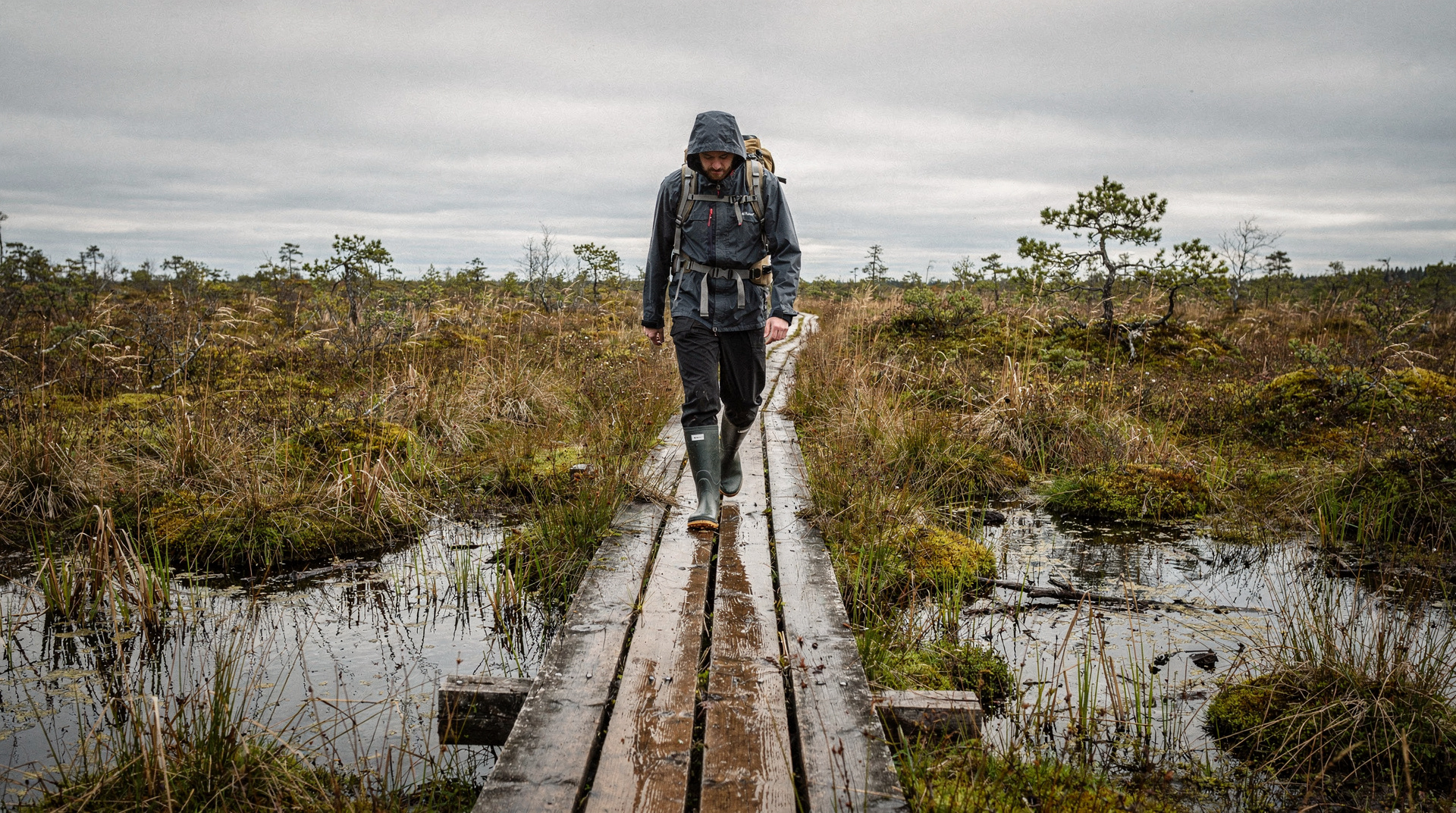 Bog walks near Tallinn: the complete guide for 2026