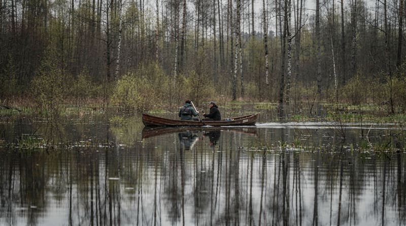 Soomaa National Park canoe day trip: Estonia's fifth season