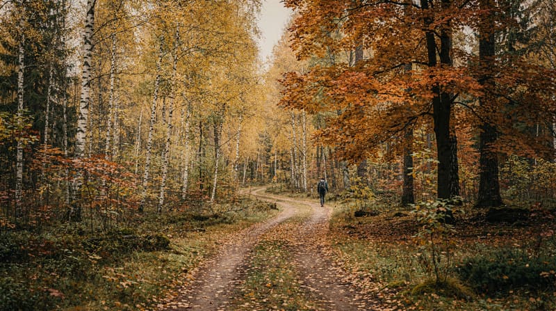 Nature et plein air