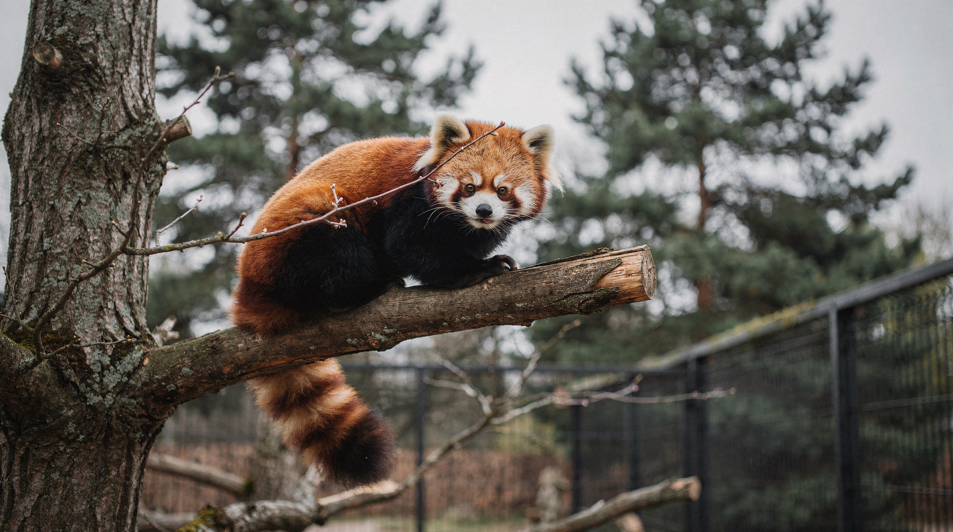 Tallinn Zoo and parks: what to expect with kids