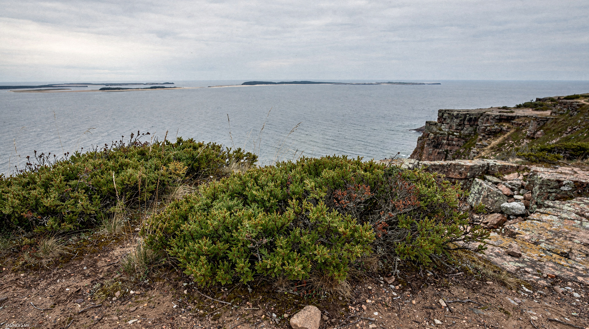 One week in Estonia